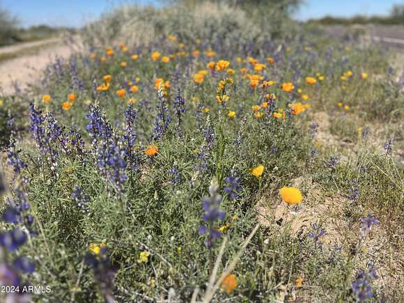 40 Acres of Land for Sale in Tonopah, Arizona