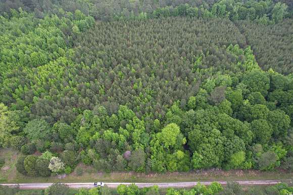 4.2 Acres of Land for Sale in Lane, South Carolina