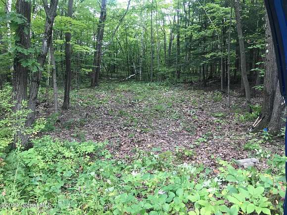 5.1 Acres of Residential Land for Sale in Voorheesville, New York