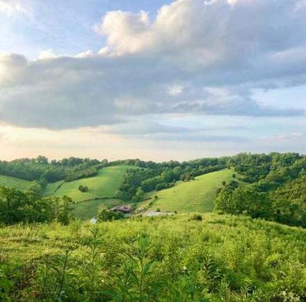 27 Acres of Land with Home for Sale in Carlisle, Kentucky