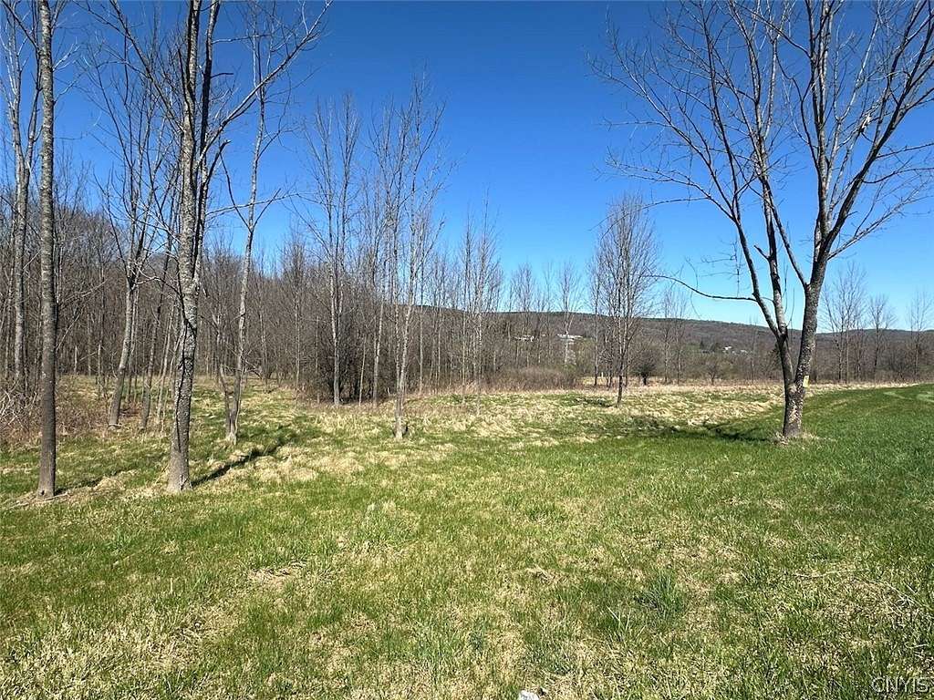 2.2 Acres of Land for Sale in Grove, New York