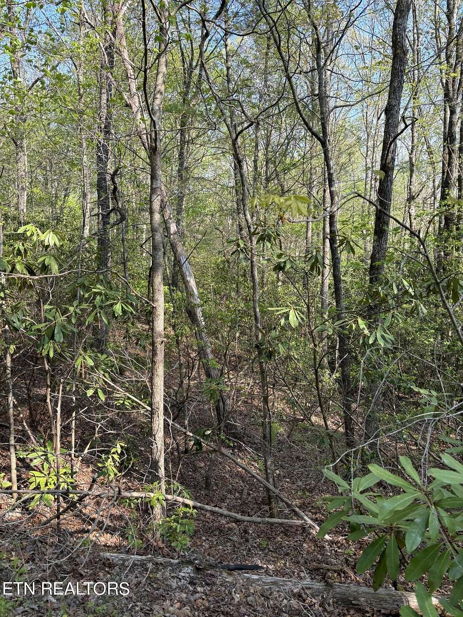 0.94 Acres of Residential Land for Sale in Tellico Plains, Tennessee