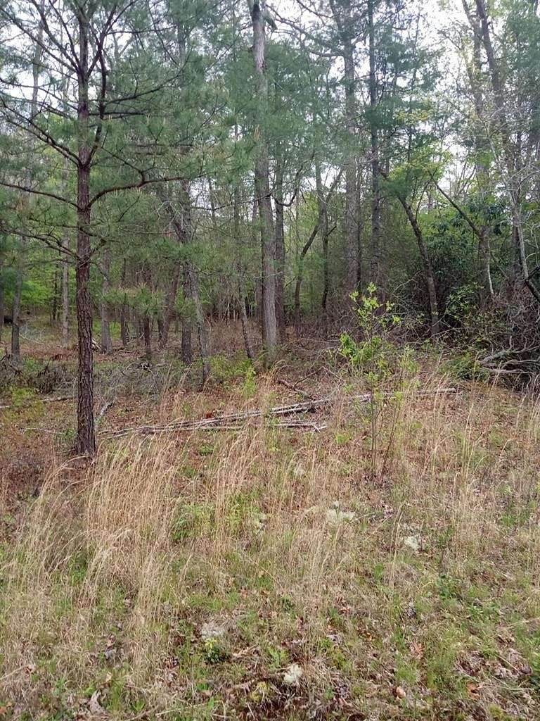 0.92 Acres of Land for Sale in Young Harris, Georgia