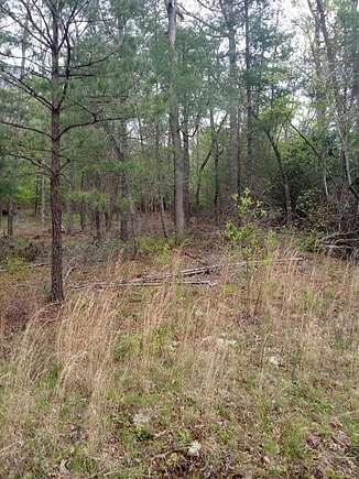 0.92 Acres of Land for Sale in Young Harris, Georgia