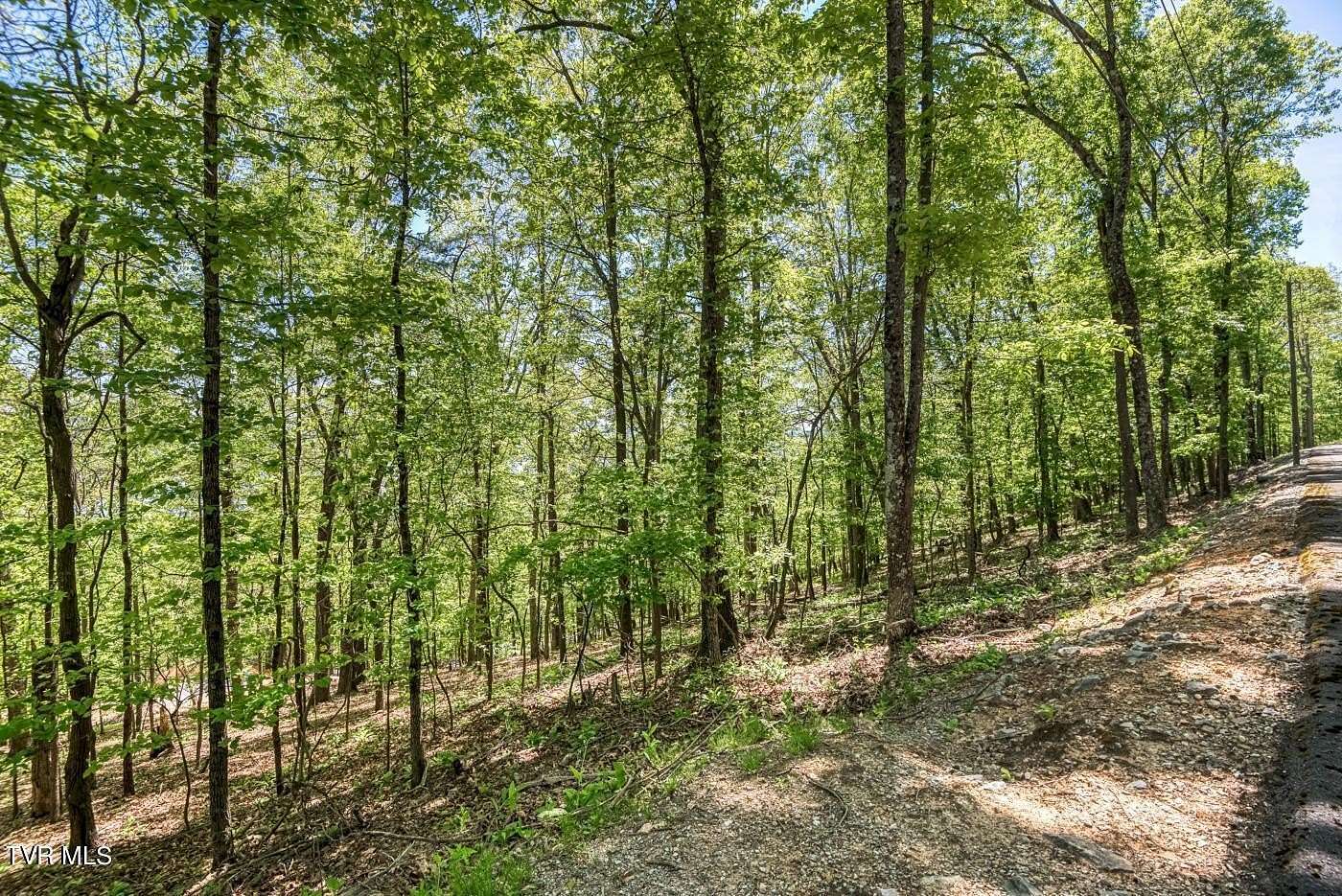1 Acre of Residential Land for Sale in Mooresburg, Tennessee