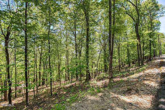 1.1 Acres of Residential Land for Sale in Mooresburg, Tennessee