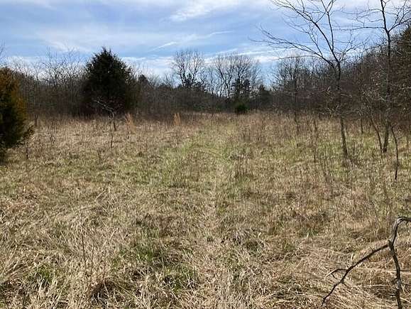 40 Acres of Recreational Land for Sale in Strafford, Missouri