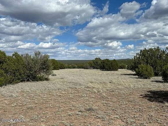 18 Acres of Land for Sale in Concho, Arizona