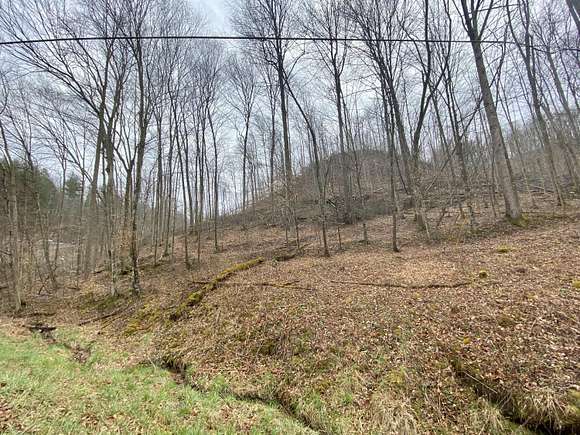24.1 Acres of Land for Sale in Wooton, Kentucky