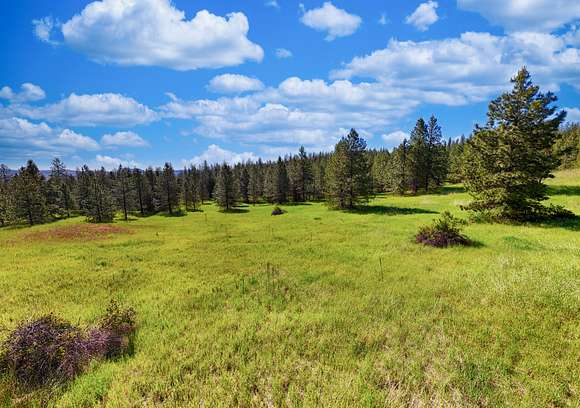 710 Acres of Recreational Land for Sale in Davenport, Washington