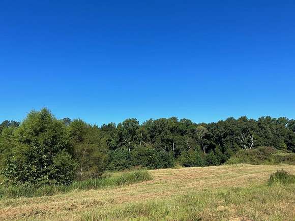 Land for Sale in Woodlawn, Tennessee