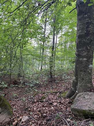Residential Land for Sale in Maynardville, Tennessee
