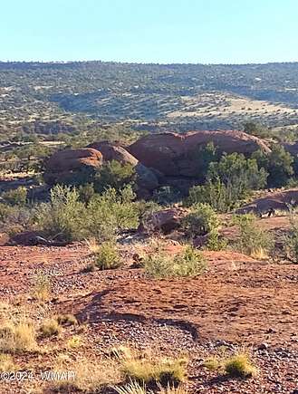 36.5 Acres of Land for Sale in St. Johns, Arizona