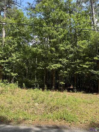 20.4 Acres of Land for Sale in Abita Springs, Louisiana