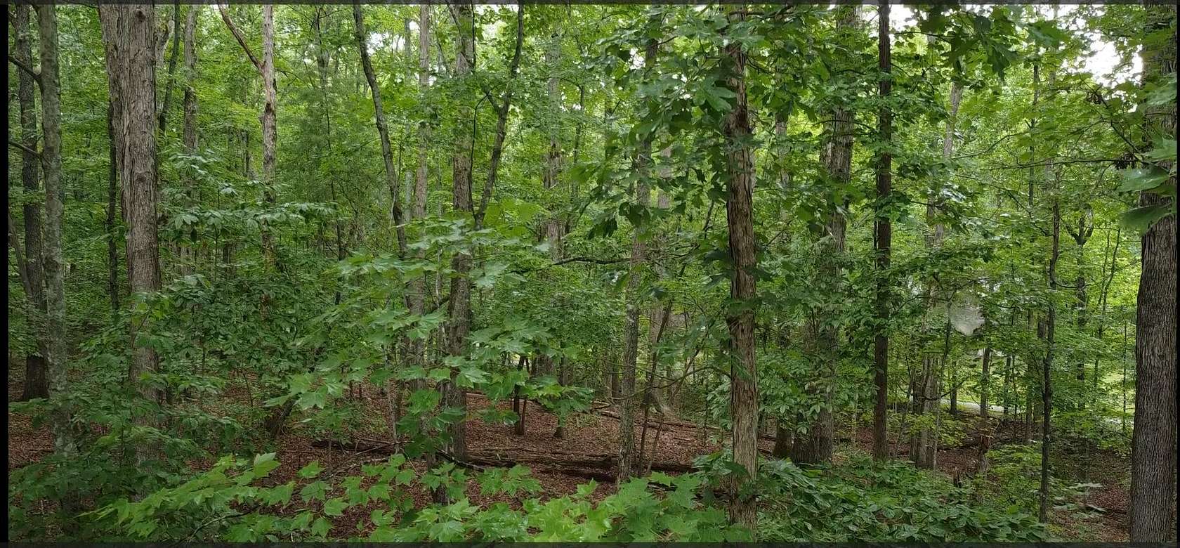0.35 Acres of Residential Land for Sale in Spring City, Tennessee