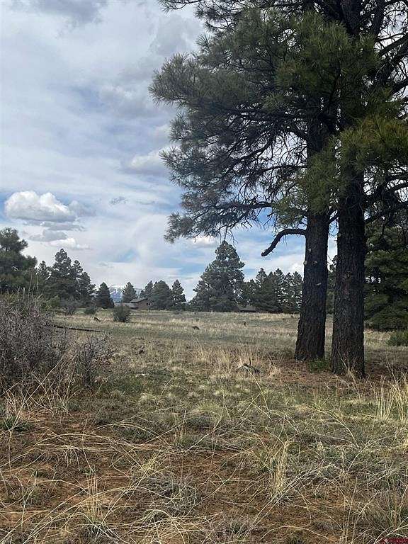 0.35 Acres of Residential Land for Sale in Pagosa Springs, Colorado