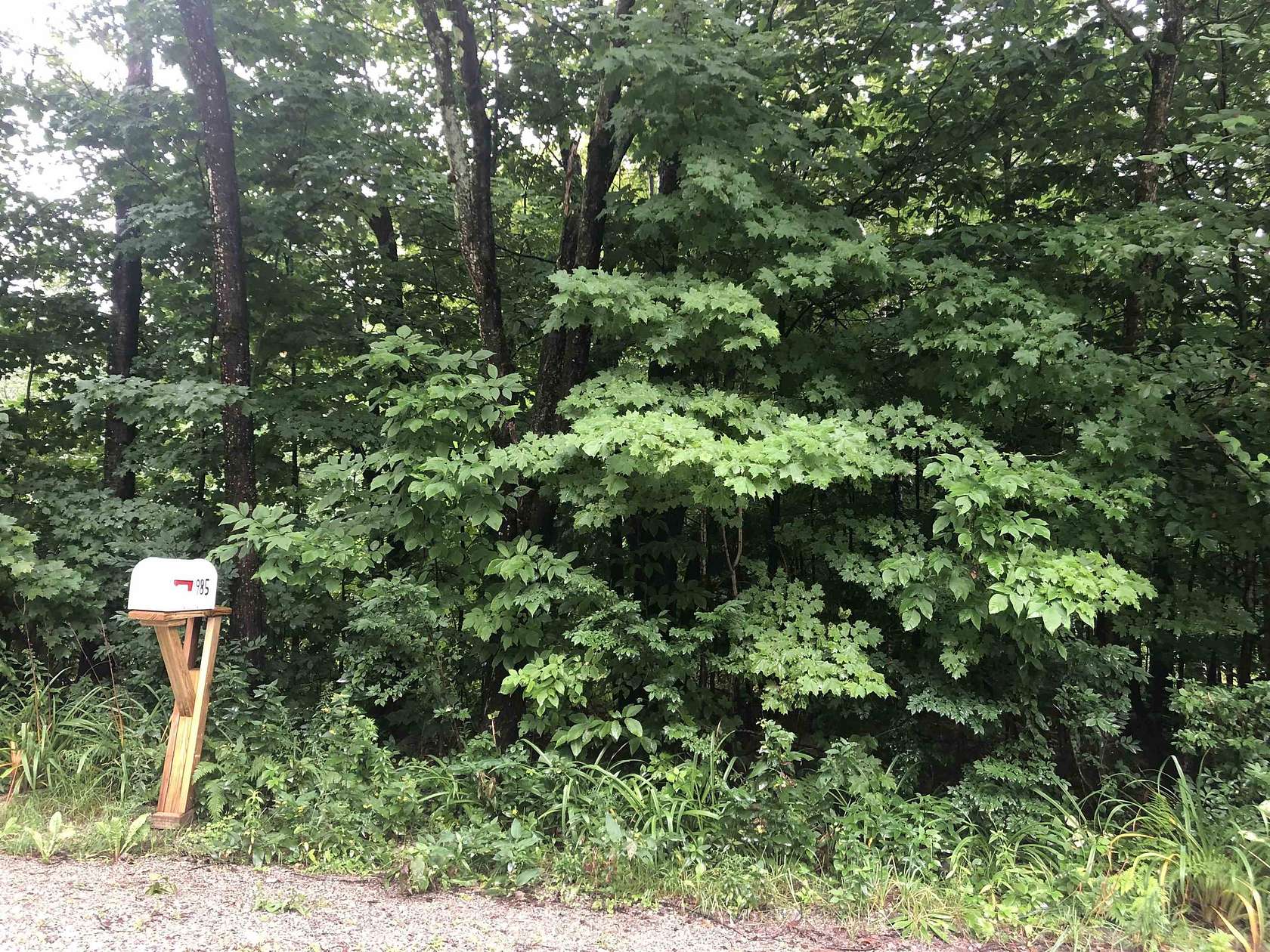 1 Acre of Residential Land for Sale in Whitingham, Vermont