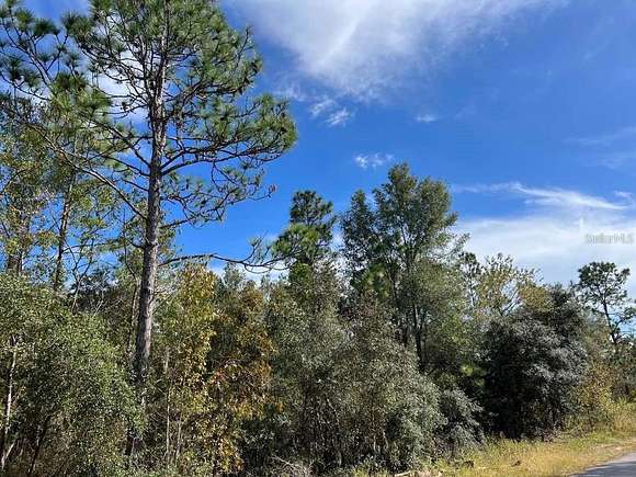 0.99 Acres of Residential Land for Sale in Dunnellon, Florida