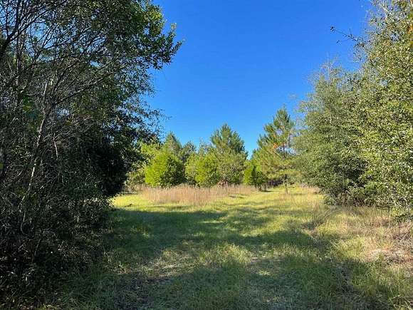 16 Acres of Land for Sale in Olar, South Carolina