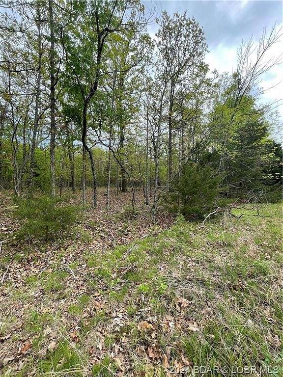 0.55 Acres of Residential Land for Sale in Laurie, Missouri