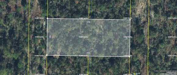 0.74 Acres of Residential Land for Sale in Altha, Florida