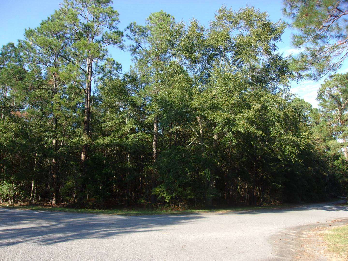 1.3 Acres of Residential Land for Sale in Barnwell, South Carolina