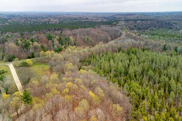 76.4 Acres of Land for Sale in Manistee, Michigan