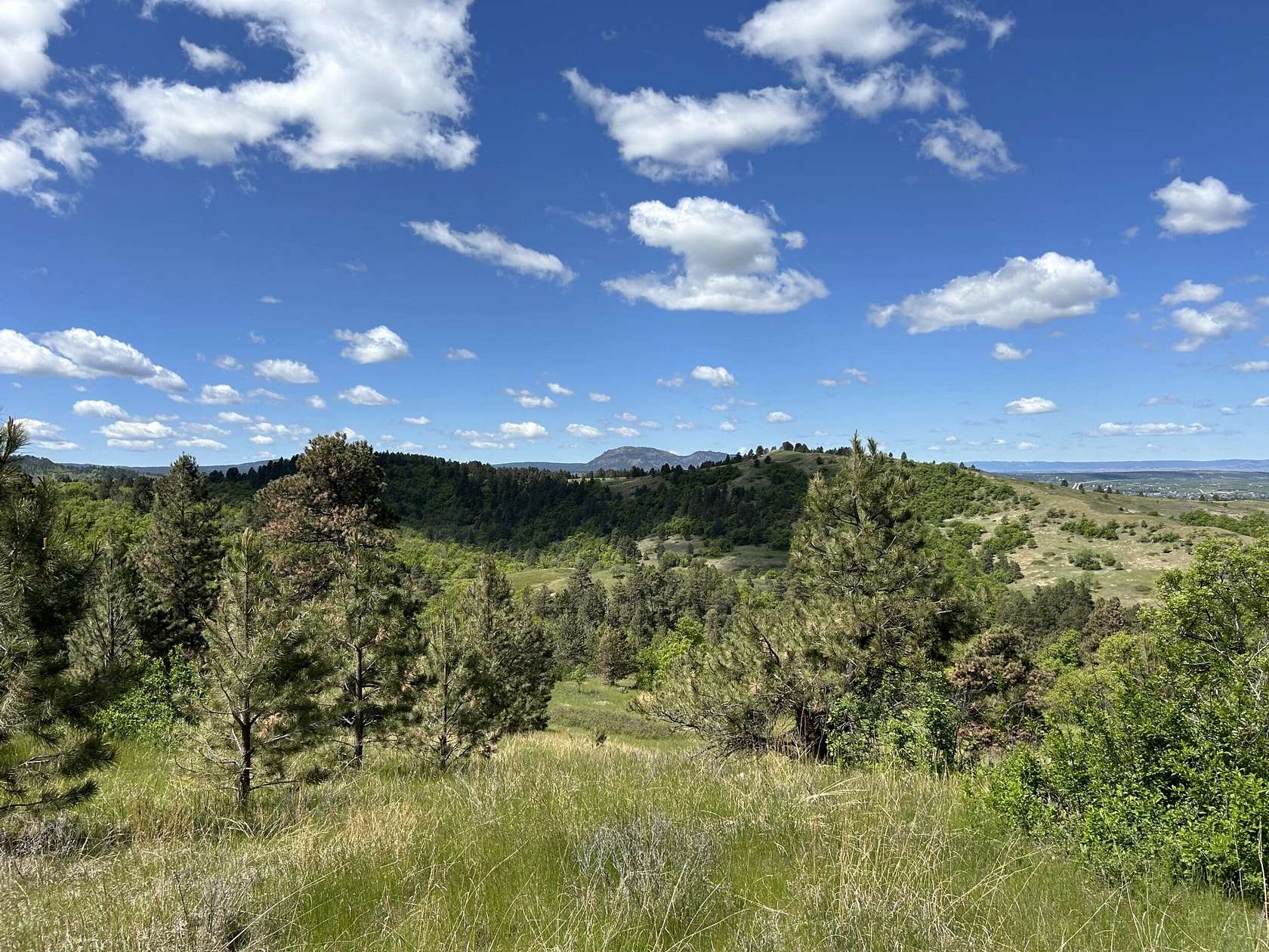 80 Acres of Land for Sale in Spearfish, South Dakota