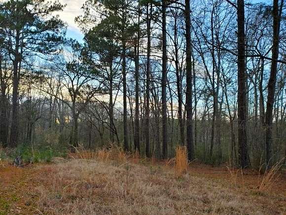 21.7 Acres of Land with Home for Sale in Mooringsport, Louisiana