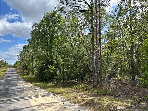 0.23 Acres of Residential Land for Sale in Dunnellon, Florida