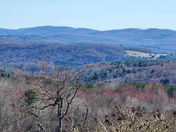11 Acres of Land for Sale in Summit, New York