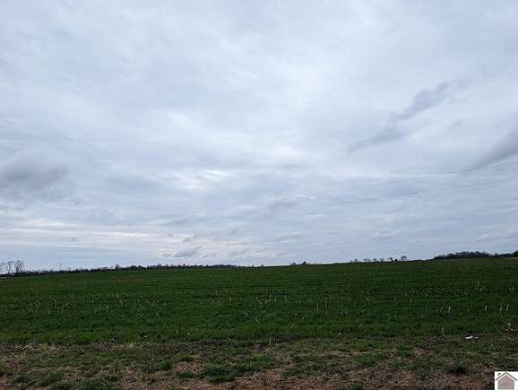 350 Acres of Agricultural Land for Sale in Trenton, Kentucky