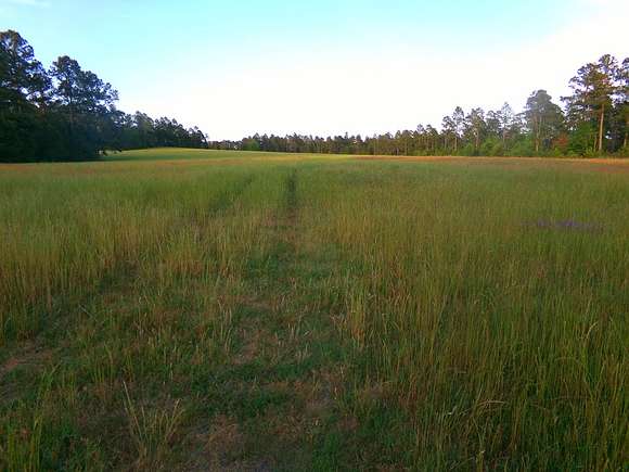 9.8 Acres of Land for Sale in Swainsboro, Georgia