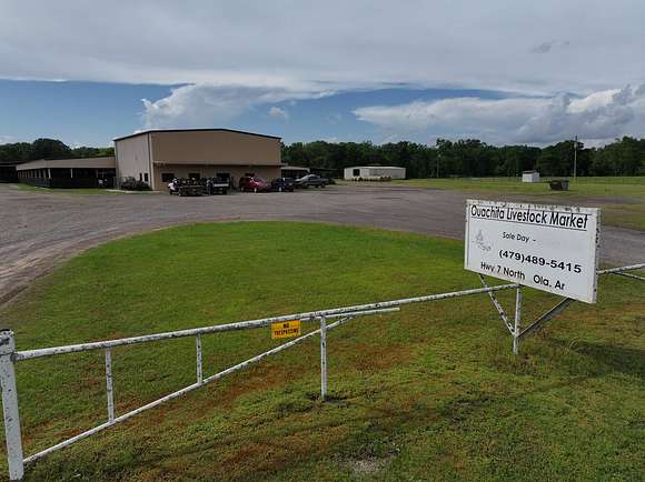 60 Acres of Land for Sale in Danville, Arkansas