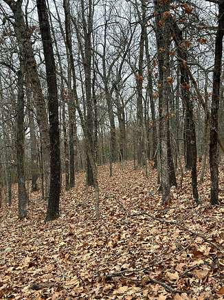 105 Acres of Recreational Land & Farm for Sale in Williford, Arkansas