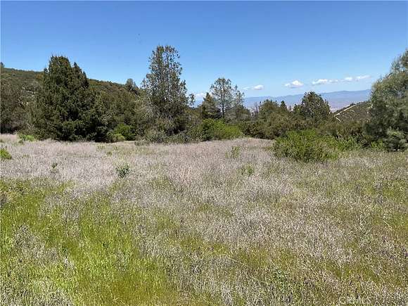 20 Acres of Land for Sale in King City, California