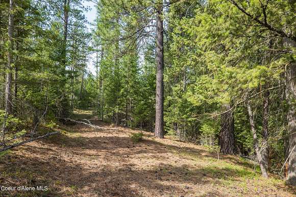 30 Acres of Land for Sale in Naples, Idaho