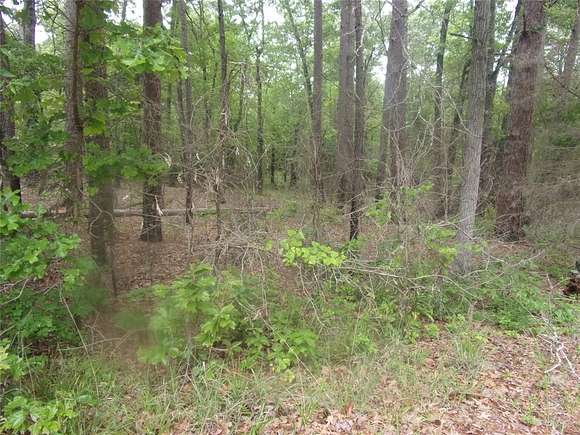 0.98 Acres of Land for Sale in Murchison, Texas