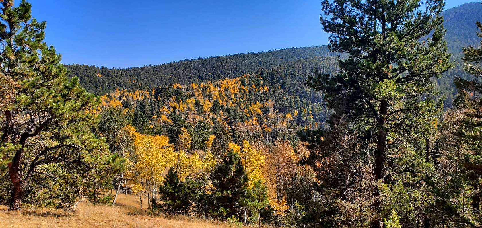 35 Acres of Land for Sale in Divide, Colorado