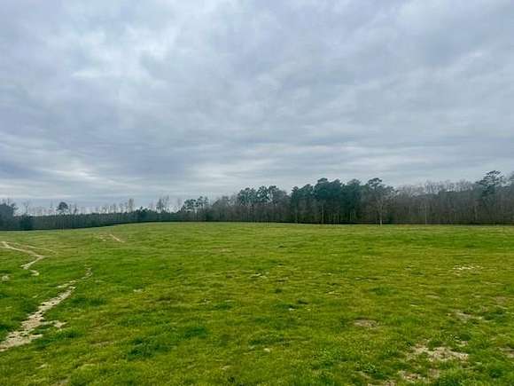 21.5 Acres of Agricultural Land for Sale in McCall Creek, Mississippi