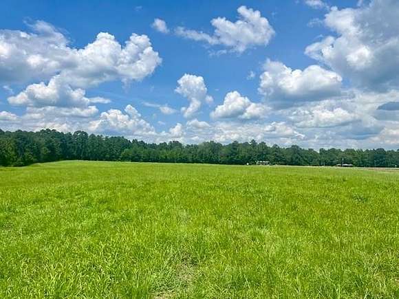 21 Acres of Agricultural Land for Sale in McCall Creek, Mississippi