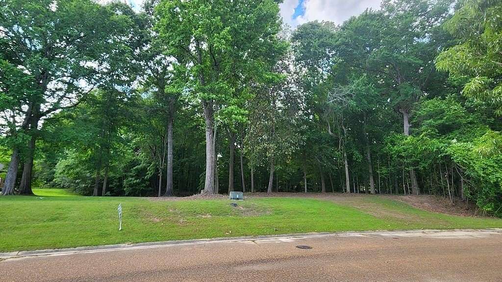 0.48 Acres of Residential Land for Sale in Natchez, Mississippi