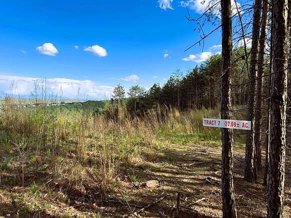 37.7 Acres of Land for Sale in McDonald, Tennessee