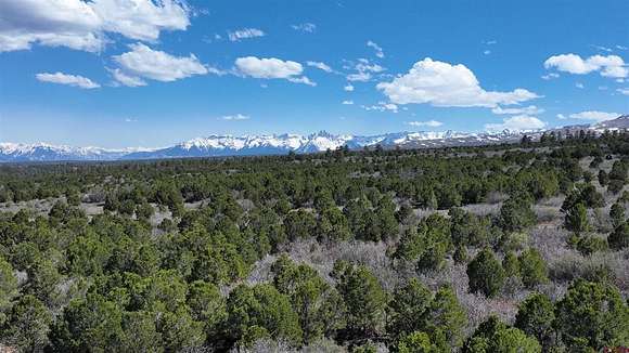 36.8 Acres of Land for Sale in Montrose, Colorado