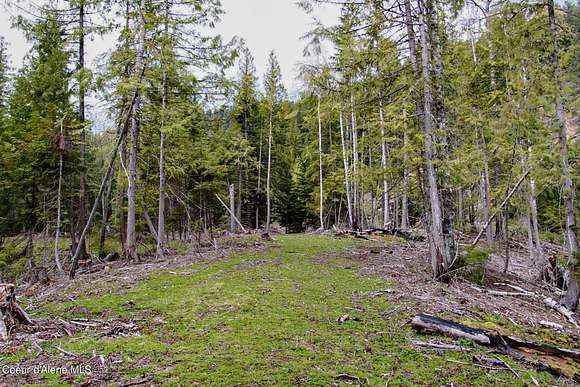 20 Acres of Recreational Land for Sale in Sandpoint, Idaho