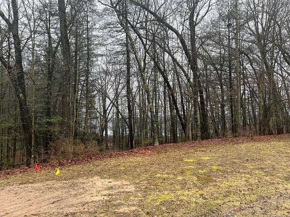 1.4 Acres of Residential Land for Sale in Twin Lake, Michigan