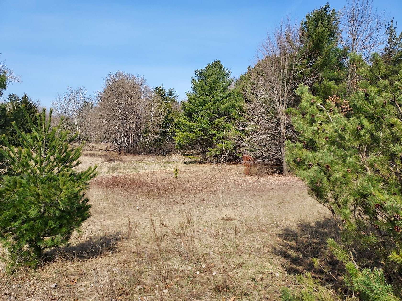0.86 Acres of Land for Sale in Evart, Michigan