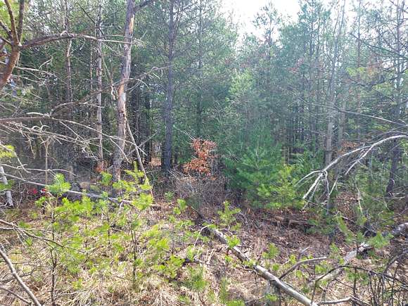 0.06 Acres of Land for Sale in Evart, Michigan