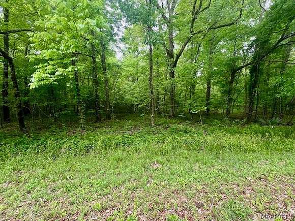 8.6 Acres of Residential Land for Sale in Cecil, Alabama