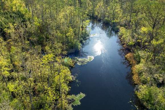 19 Acres of Recreational Land for Sale in Georgetown, South Carolina